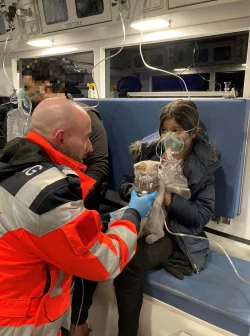 Auch eine Katze brauchte nach dem Brand medizinische Hilfe. (Handout) - &copy; -/BERUFSRETTUNG WIEN/dpa