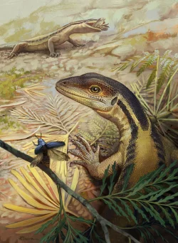 So k&ouml;nnte ein Reptil ausgesehen haben, das ein Vorfahr aller heutigen Reptilien war. (Illustration) - &copy; -/Universit&auml;t T&uuml;bingen/dpa