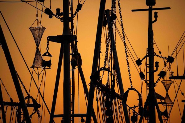 Krabbenkutter liegen bei Sonnenuntergang im Hafen. - © Sina Schuldt/dpa/Symbolbild