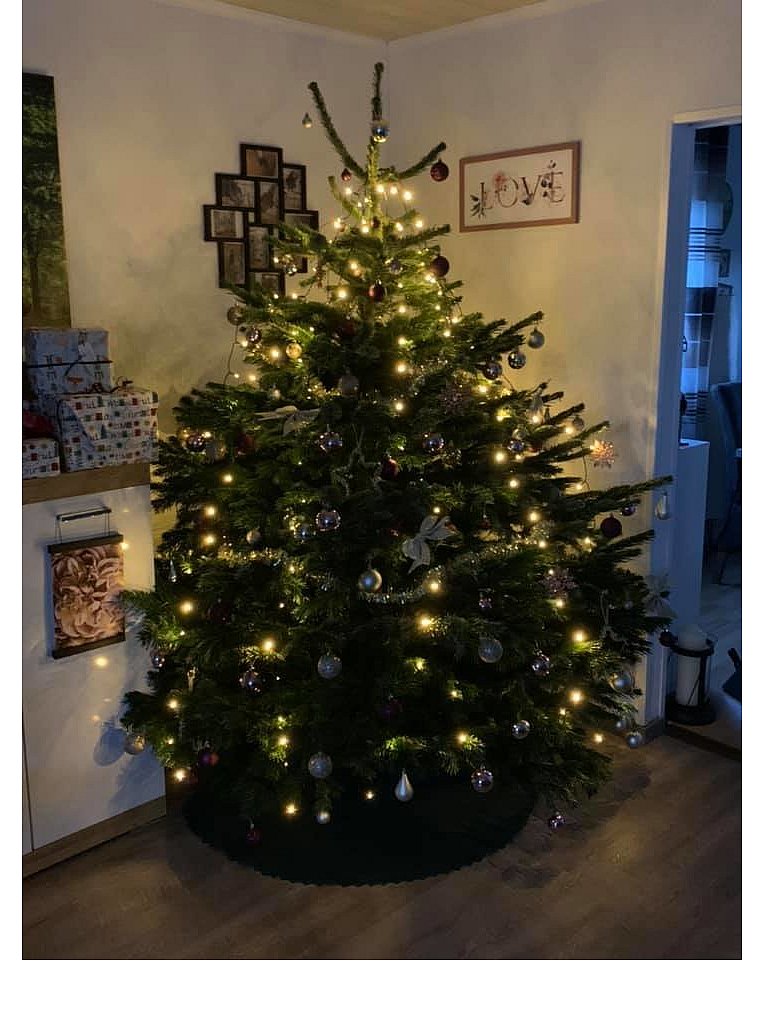 Weihnachtsbäume in Lippe