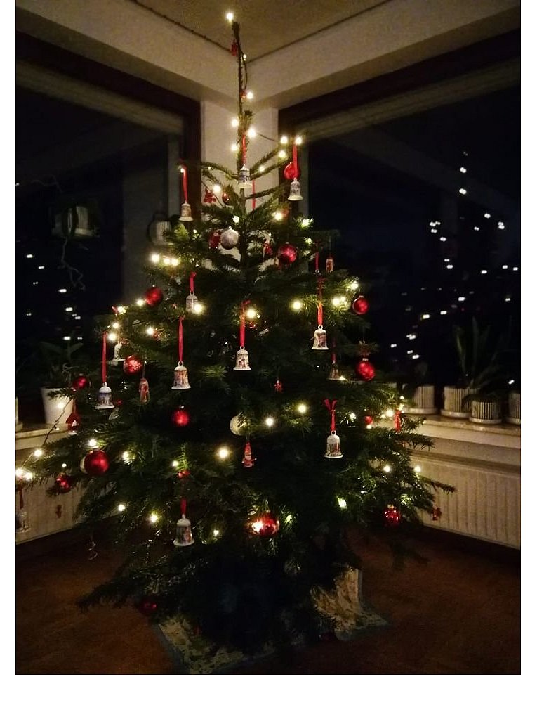 Weihnachtsbäume in Lippe
