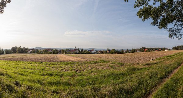 Die Wanderstrecke durch den Leistruper Wald bietet traumhafte Aussichten auf die Umgebung. - © Torben Gocke