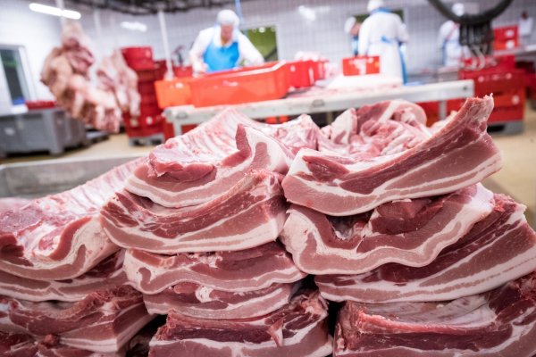Schweinepest in China lässt Fleischpreise in Deutschland steigen - © Foto: Christian Charisius/dpa