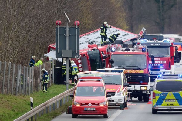 Ein mit Schweinen beladener Tiertransporter ist auf der A2 umgestürzt. - © Bernd Thissen/dpa