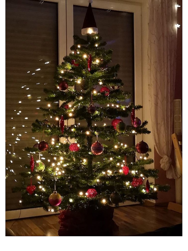 Weihnachtsbäume in Lippe