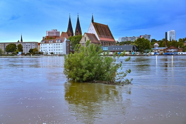 Das Wasser der Oder steht noch sehr hoch in Frankfurt. - © Patrick Pleul/dpa