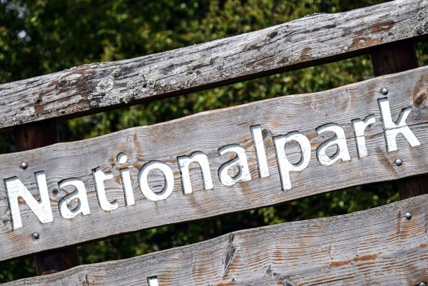 Am Niederrhein gibt es die letzte Chance für einen zweiten Nationalpark in NRW - bald stimmen die Bürger ab. (Archivbild) - © Federico Gambarini/dpa