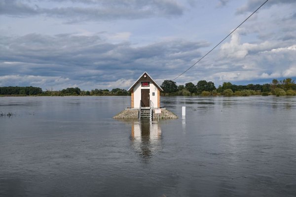 Das Pegelhäuschen bei Ratzdorf an der Oder ist von Wassermassen umgeben. - © Patrick Pleul/dpa