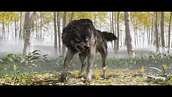 Atsu wird von einem Wolf begleitet – und wir werden Zeit brauchen, um ein unsichtbares Band zwischen uns und unserem vierbeinigen, zähnefletschenden Gefährten zu knüpfen. - © Sony Interactive Entertainment