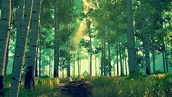 Ein Sonnenstrahl durchbricht das dichte Blätterdach des Shoshone National Forests – Schauplatz des emotionalen Abenteuers Firewatch. - © Campo Santo