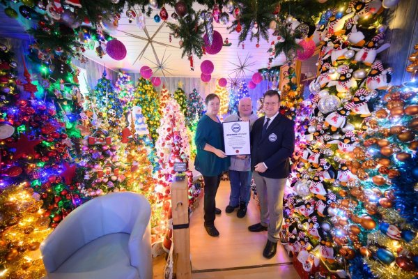 Weihnachtsbäume über Weihnachtsbäume schmücken ein Haus in Niedersachsen (Foto aktuell). - © Julian Stratenschulte/dpa
