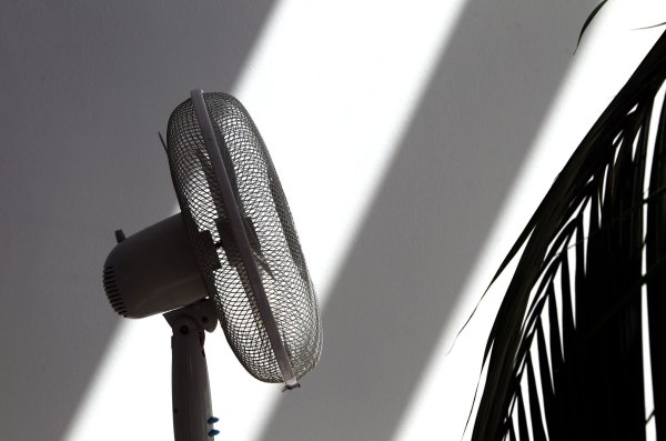 - © Karl-Josef Hildenbrand/dpa/dpa-tmn