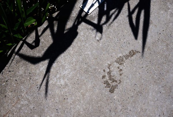 CO2-Fußabdruck - © Foto: Annette Riedl/dpa/dpa-tmn