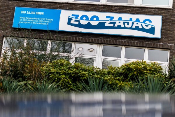 In großen Hallen im Duisburger Norden bietet Zoo Zajac tausende Tierarten zum Verkauf an. - © Christoph Reichwein/dpa