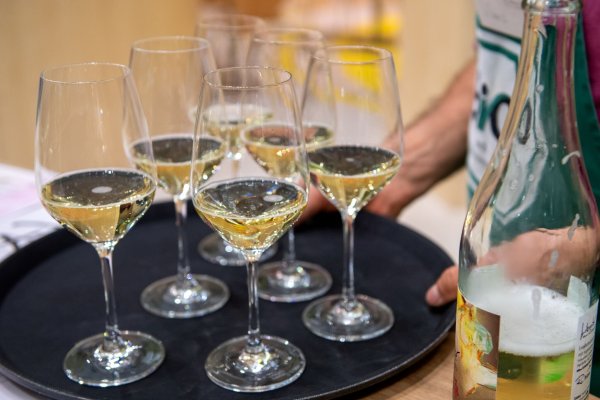 Alkoholfreier Wein hat zwar eine gewisse Süße, aber auch die Geschmacksvielfalt von Wein. - © Zacharie Scheurer/dpa-tmn