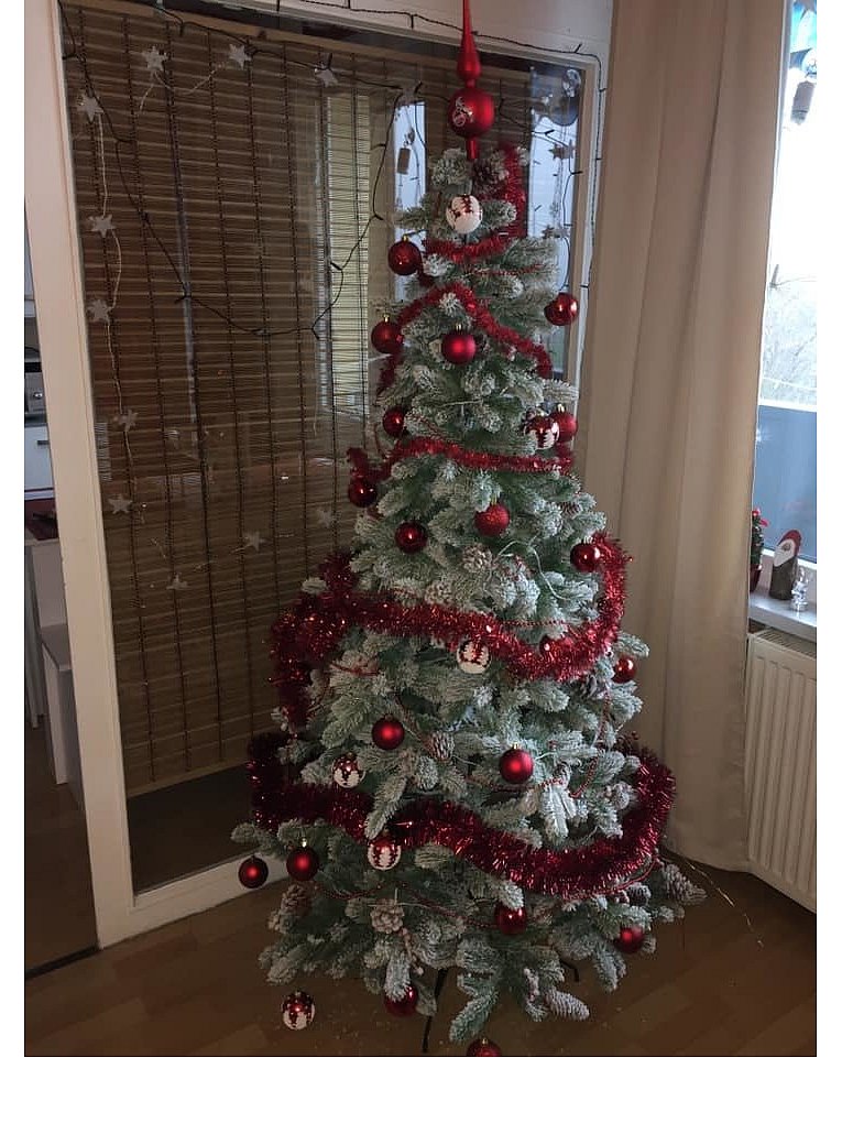 Weihnachtsbäume in Lippe
