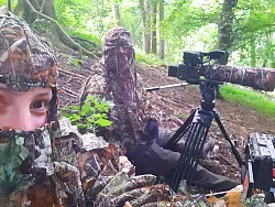 Gut getarnt: Anika Hüting (vorn) und Robin Jaehne warten auf Dachse. - © Robin Jaehne