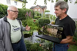 Die "Gemeine Graseule" ist selten geworden: In naturnahen Gärten, wie dem von Ewald Thies (links), würde sich der Falter, den Hans Dudler hier auf dem Laptop zeigt, vermutlich wohlfühlen. - © Bernhard Preuss