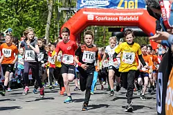 Attacke: Die Mini-Hermannsl&auml;ufer machen sich hoch motiviert auf den Weg &uuml;ber die 2,5 Kilometer-Runde. - &copy; Christian Weische