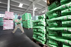 Ursache: Beim Futtermittelherstellers soll es zur Verunreinigung des Futters gekommen sein - &copy; picture alliance / dpa