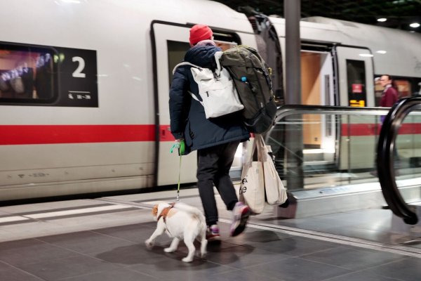 Kunden der Deutschen Bahn können Fahrkarten für Hunde ab sofort auch als Online-Tickets kaufen, nicht mehr nur auf Papier. - © Carsten Koall/dpa