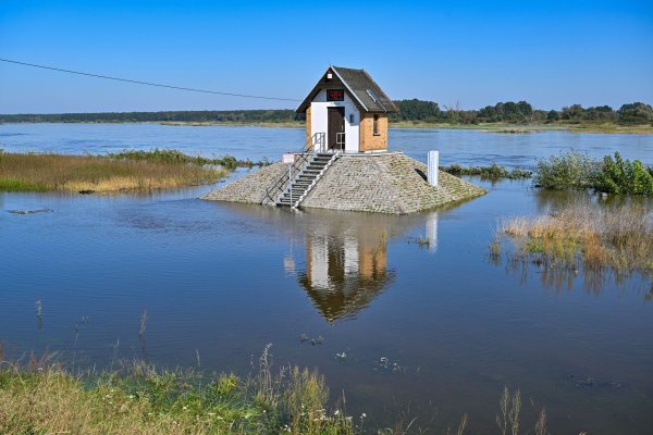 Rund um das Pegelhäuschen auf einem Sockel am Oderufer in Ratzdorf (Oder-Spree-Kreis) ist schon der hohe Wasserstand zu sehen. - © Patrick Pleul/dpa