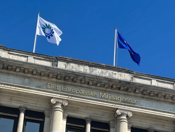Die in Kopenhagen ansässige Europäische Umweltagentur hat für die Analyse Daten zu wetter- und klimabedingten Verlusten und Todesfällen ausgewertet. (Archivbild) - © Steffen Trumpf/dpa