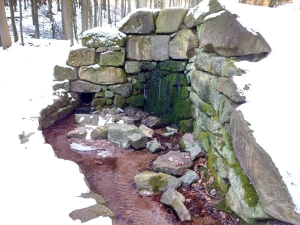 Aus der Magdalenenquelle entspringt das Stadtwasser. - © Freya Köhring