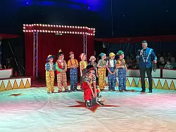 Die Clowns bringen den Zirkusdirektor auf die Palme. - © Jan Schillmann