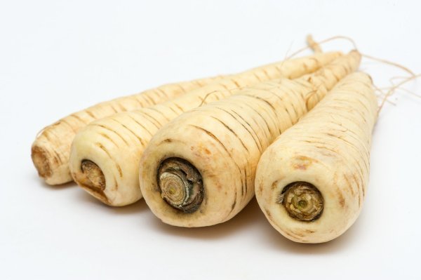 Bei Pastinaken zu kleinen und hellen greifen - © Foto: Andrea Warnecke