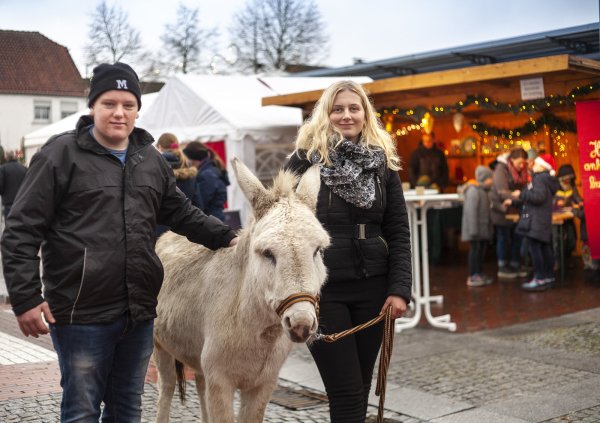 Felix Prante und Pia Erfkamp vom landwirtschaftlichen Verein kümmern sich während des Weihnachtsmarktes um Esel Olli, der den Trubel gelassen nimmt. - © Laurenz Tegethoff