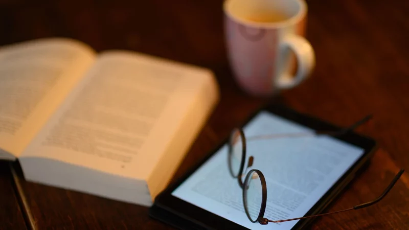 Psychothriller faszinieren viele Leser. (Illustration) - &copy; Robert Michael/dpa