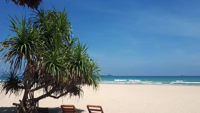 Um Urlaub in Sri Lanka zu machen, ist ein Visum erforderlich. Es empfiehlt sich, das Visum schon vorher online zu beantragen. - &copy; Nathalie Helene Rippich/dpa-tmn