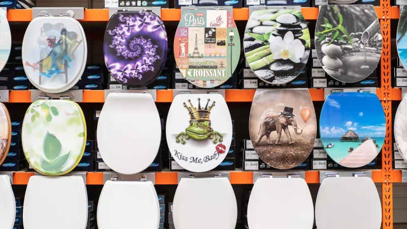 Nicht nur eine &auml;sthetische Frage: L&auml;nge, Breite und Abstand der Befestigungsl&ouml;cher des neuen Toilettensitzes m&uuml;ssen zur Sch&uuml;ssel passen. - &copy; Jonas G&uuml;ttler/dpa/dpa-tmn