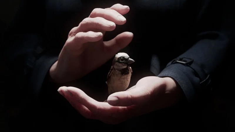 Der Kurzfilm «A Sparrow's Song» gehörte zu den großen Gewinnern der Preisverleihung. - © -/Filmakademie Baden-Württemberg/dpa