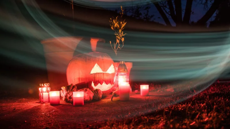 Damit der Kürbis auch noch an Halloween schaurig schön aussieht, gibt es beim Aushöhlen und Schnitzen einiges zu beachten. - © Christin Klose/dpa-tmn