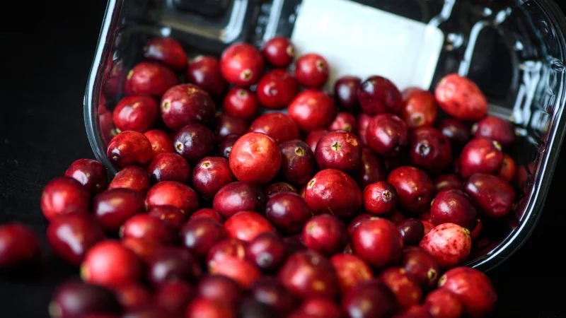 Kugelrund und leuchtend rot: Cranberrys haben aktuell Saison. - &copy; Sina Schuldt/dpa-tmn