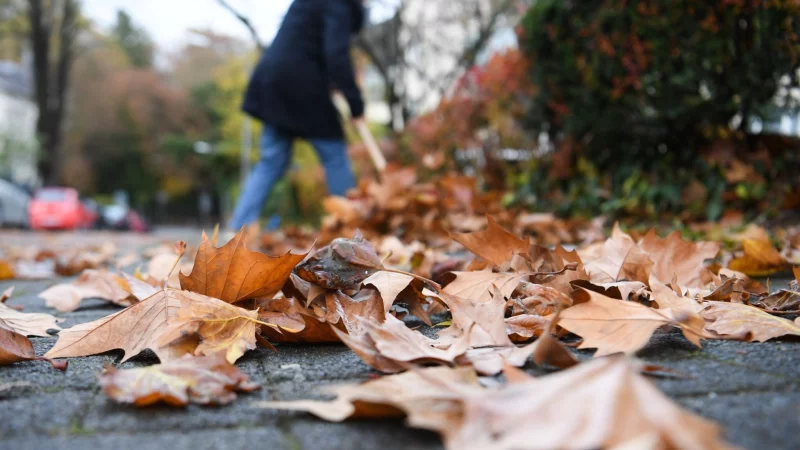 Weg mit den Bl&auml;ttern: Wer f&uuml;r solche Arbeiten rund ums Haus einen Dienstleister beauftragt, kann steuerlich profitieren. - &copy; Arne Dedert/dpa/dpa-tmn