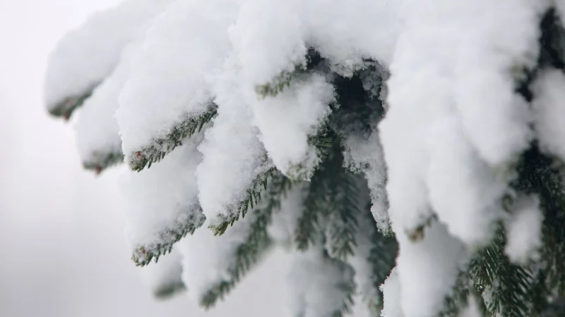 Kari Leibowitz hat ein Buch &uuml;ber die Vorz&uuml;ge des Winters geschrieben. (Archivbild) - &copy; Matthias Bein/dpa