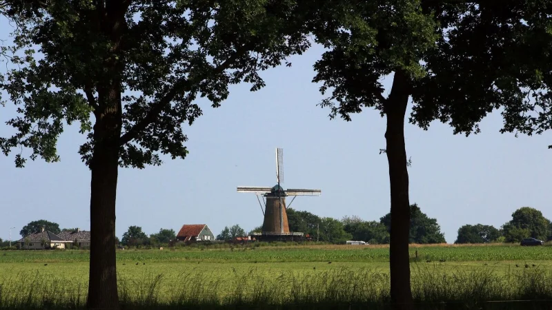 Windmu?hlen wie die Olde M&ouml;lle hat man in Achterhoek mitunter fast f&uuml;r sich: Touristenmassen sind hier nicht unterwegs. - &copy; Bernd F. Meier/dpa-tmn