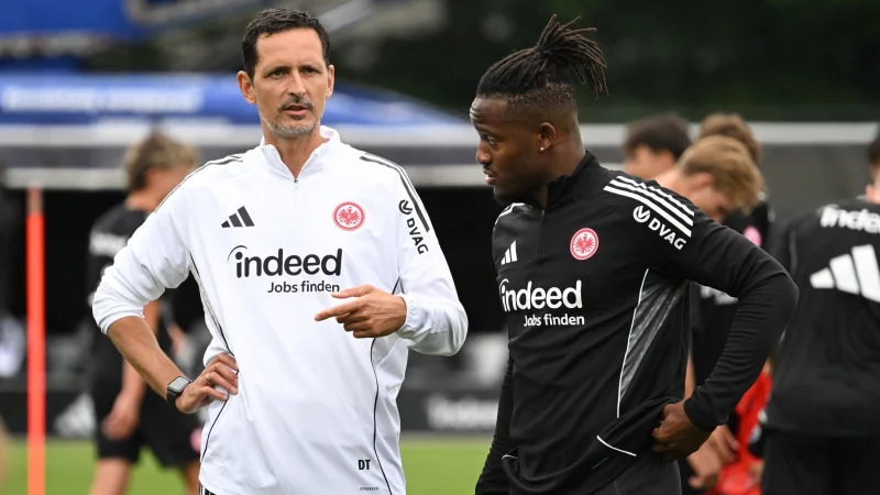 Bangt um seine Katze: Michy Batshuayi (Archivbild). - © Arne Dedert/dpa