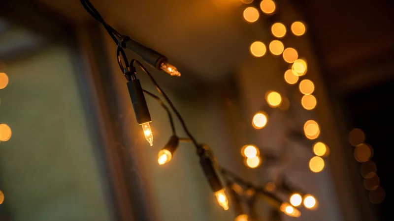 LED-Lichterketten sind besonders energiesparend: Sie verbrauchen bis zu 90 Prozent weniger Strom als Gl&uuml;h- oder Halogenlampen und halten deutlich l&auml;nger. - &copy; Christin Klose/dpa-tmn