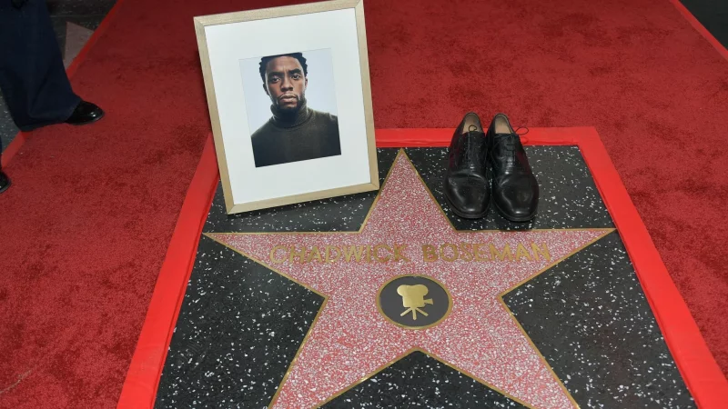 Im August 2020 starb der &laquo;Black Panther&raquo;-Star an Krebs. - &copy; Richard Shotwell/Invision/AP/dpa