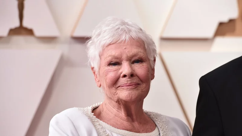 Judi Dench hatte schon fr&uuml;her &uuml;ber ihre schwindende Sehkraft aufgrund ihrer Netzhauterkrankung gesprochen. (Archivbild) - &copy; Jordan Strauss/Invision/AP/dpa