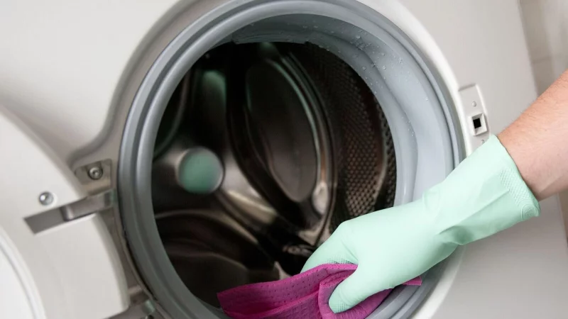Die regelmäßige Reinigung der Waschmaschine beugt Gerüchen und Schimmel effektiv vor: Besonders bei Frontladern ist die Türmanschette an der Trommel ein kritischer Bereich. - © Sonya Schönberger/dpa-tmn