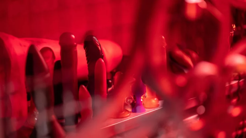 Vibratoren, Dildos, Analplugs: 19 Sextoys hat sich die Stiftung Warentest f&uuml;r ihre gleichnamige Zeitschrift genau angeschaut. - &copy; Sebastian Gollnow/dpa/dpa-tmn