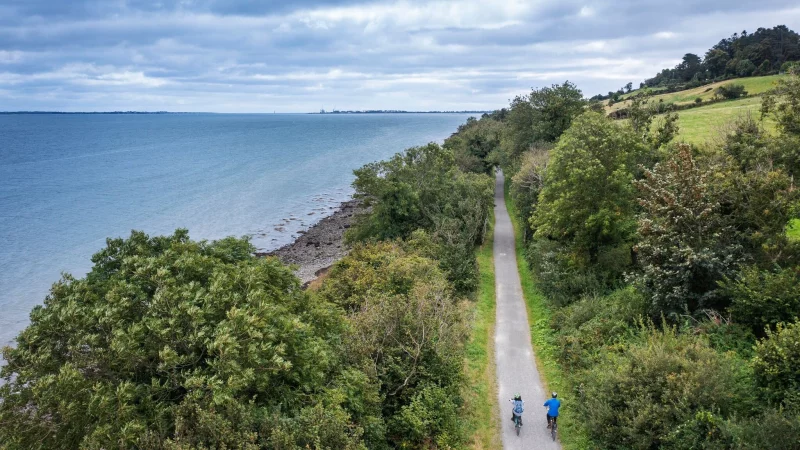 Am Wasser entlang: Der Weg f&uuml;hrt entlang der Carlingford Lough, einer langgezogenen Bucht im Osten der Insel. - &copy; Paul Lindsay/Tourism Ireland/dpa-tmn