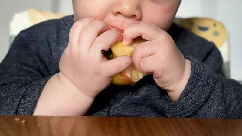 Ein ganzer Apfel ist f&uuml;r kleine Kinder zum Abnagen oft besser geeignet als Apfelst&uuml;cke: Die Handhabung f&auml;llt leichter und das Verschluckrisiko sinkt. - &copy; Zacharie Scheurer/dpa-tmn