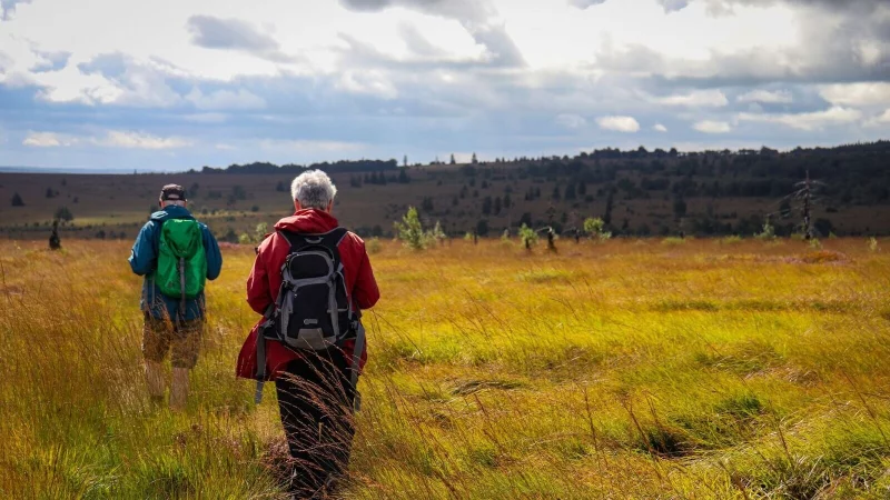 Ein Farbschauspiel, wenn der Himmel aufrei&szlig;t: Die vielf&auml;ltige Vegetation macht das Hochmoor so besonders. - &copy; Deike Uhtenwoldt/dpa-tmn