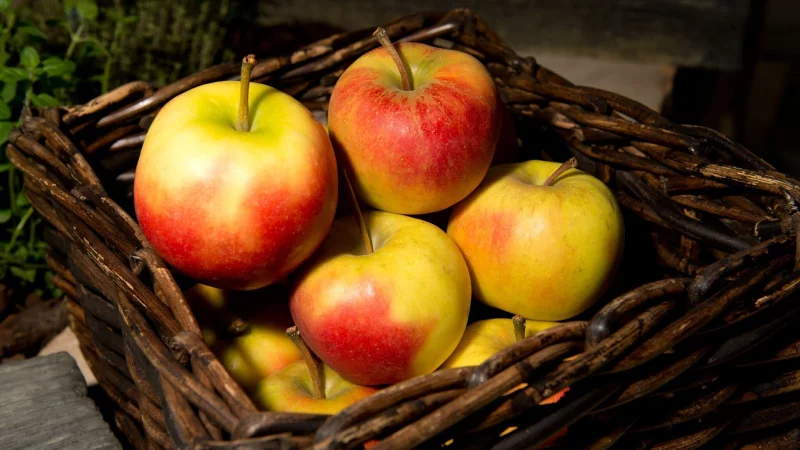 Äpfel lagern besser nicht neben anderem Obst - sie sondern ein Gas ab, durch das Früchte in ihrer Nähe schneller verderben. - © Franziska Gabbert/dpa-tmn